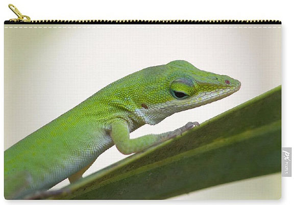 Green anole zippered carry-all pouch