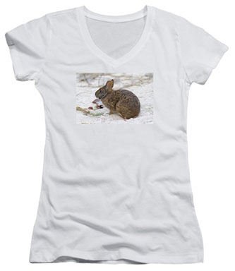 Marsh Rabbit on Dune T-shirt